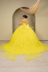 Cinderella Couture 8415JQ Quinceanera Gown In Layers Of Floral Tulle